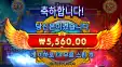 타이푼 5천