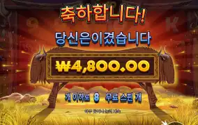 와일드비스트 후기