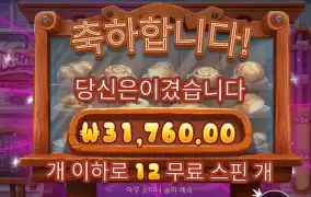 와일디즈 3.1콩