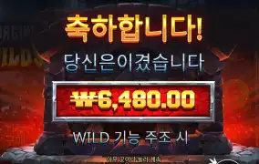 포징와일드 6천
