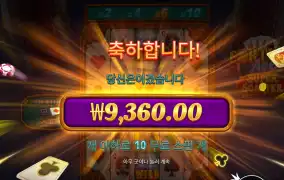 포춘에이스 9천