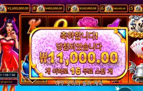 데빌리어스 1.1