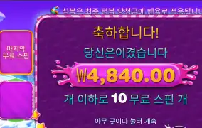 스윗보난자 리뷰