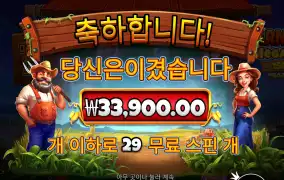 29개스핀인데