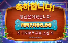 도그메가  350배