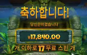 에이션트 17스핀