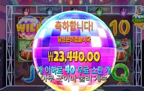 펭귄 40바퀴