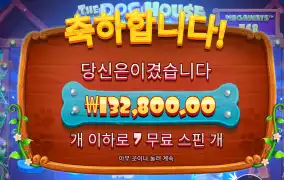 도그메가 650배