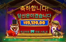 로얄헌트 14바퀴