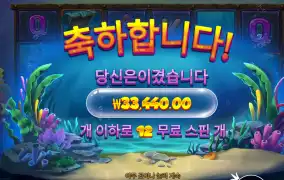 비웨어딥 3.3만