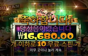 피기뱅크 1.6콩