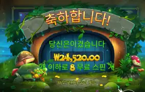 핫포춘 2.4콩