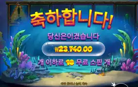 비웨어 2.3