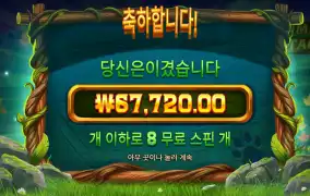 팀버스택 250배