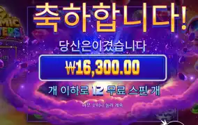 벌써 12되가네