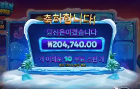 조아따 20콩 프로즌