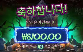 와일드 자체를 안주네