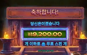 포춘이 실망이야