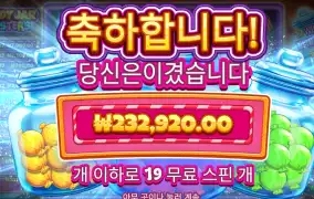 23콩 야르~