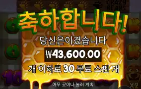 크레이지베어 렙업 어렵네