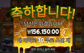 15콩 감사데쓰