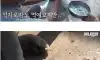 친구를 보내고 금식하는 개