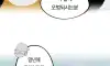 오사카 가서 도요토미 히데요시 참배한 한국인