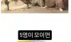 사무라이가 4명씩 다니는 이유