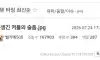 못생긴 여자랑 사귀는 못생긴 남자의 한탄