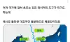 우리나라가 가진 사기급 장점