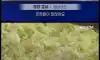 학교 급식이 무서워서 김만 먹어요'...속상한 학부모