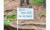 정신나간 등산모임