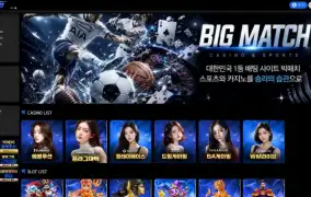 빅매치 먹튀