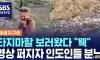 폴란드 여성 관광객에게 빡친 린도인들