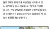 이번 거제시 역대급 물폭탄에도 피해규모가 적었던 이유