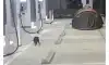보배에 올라온 레전드 캠핑족