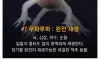 학계도 설명이 어려운 초능력을 가진 동물 9종
