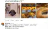 손님이 없다고 글 올렸다가 댓글 900개 달린 빵집