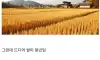 쌀값 폭등 문제가 해결된 일본 근황