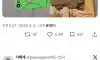 메가톤바 근황