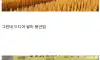 쌀값 잡았다는 일본 상황
