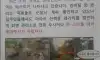 아파트 단지내 연못 대참사