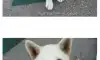 중소기업 보안팀 과장