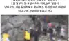 저 같은 사람들 피꺼솟 하는 기사