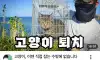 유튜버 새덕후 근황