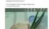한국인은 안믿는 헝가리 병원 식사