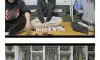 여군들이 단체로 퇴소하는 이유