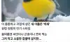 박새가 배고프면 ㅈ되는 거야