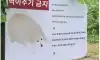 ]정직한 표지판