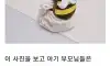단 한장으로 매출대박난 사진